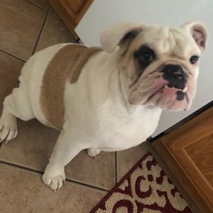 Meet your Posher, Azalea